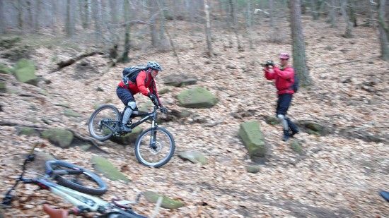 Pfalz rockt