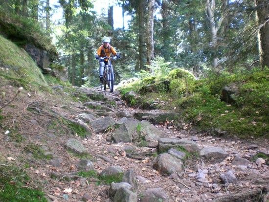 chefin auf dem brudesweg