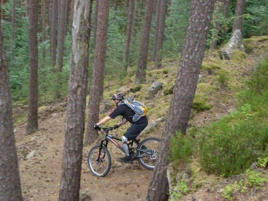 Pfalz trails
