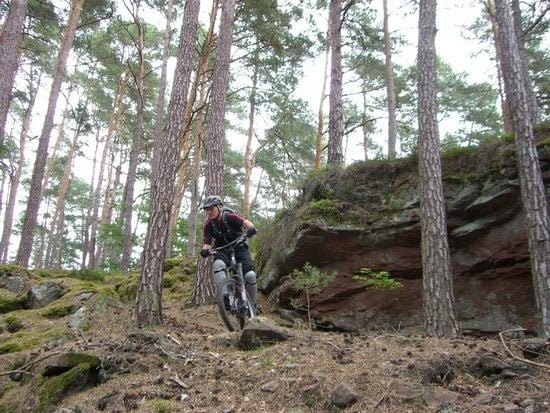 pfalztrails vom feinsten