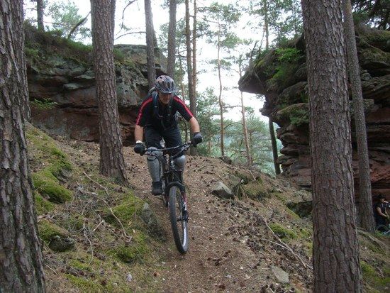 pfalz trails