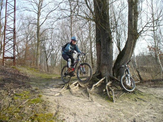 wurzel jump