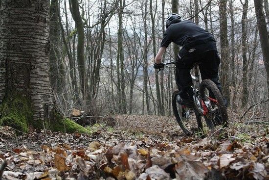 nach der trailpflege