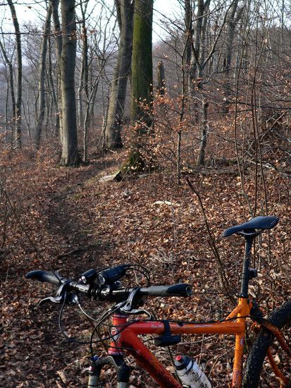 Lerchenberg150212