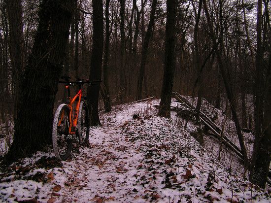 Steinberg070212a