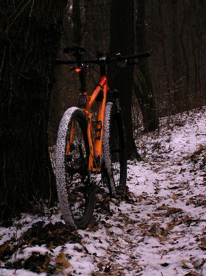 Steinberg070212b