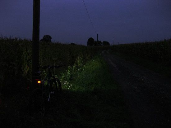 IMG 1169