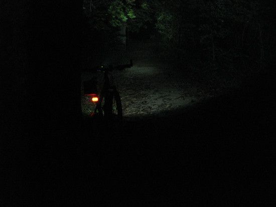 IMG 1175