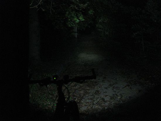 IMG 1176