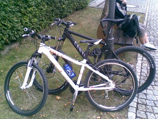 Bild110