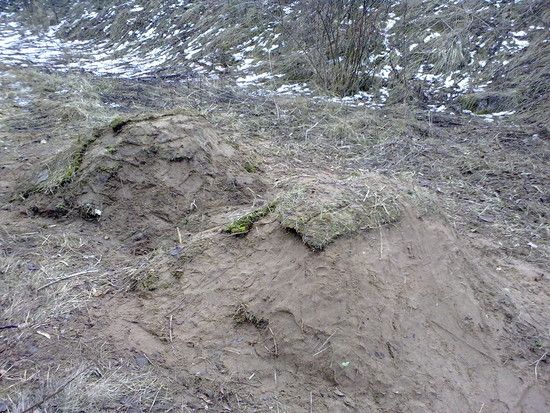 Selbst gebaut, Bänderreiser dirt