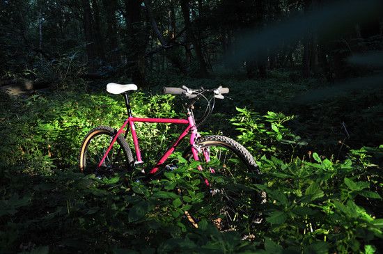 Ritchey_Ultra_out_14 1