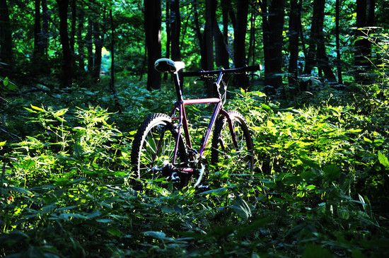 RitcheyUltraout15