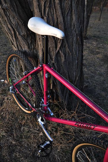 Ritchey Ultra out 05