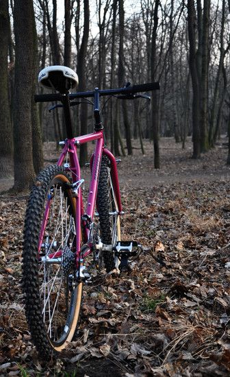 Ritchey Ultra out 06