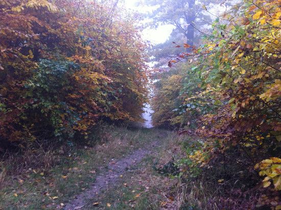 kleiner trail