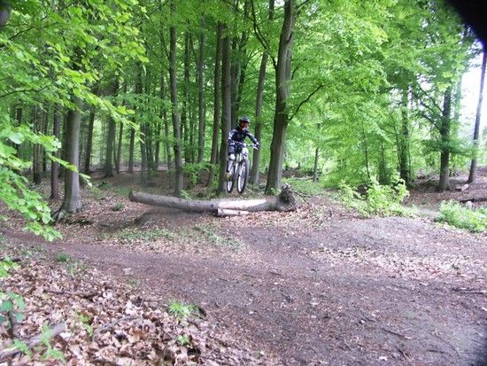 sprung deister