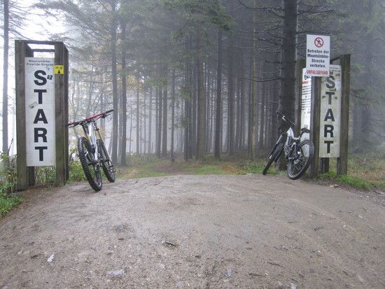 IMG 0649