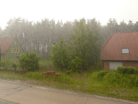 P1020348