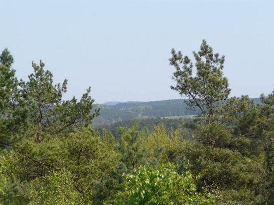 P1040142