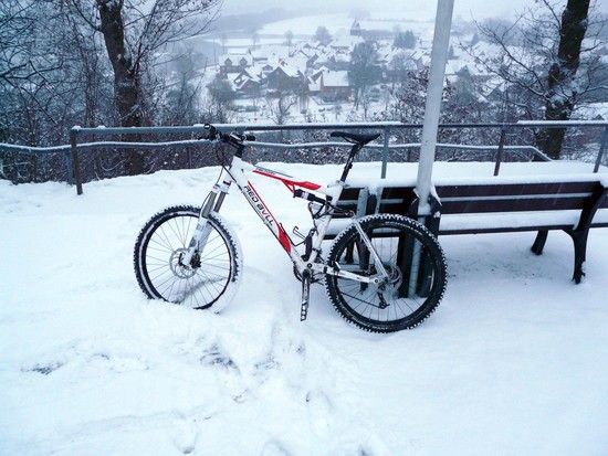 Winter
