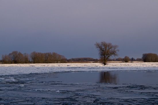  DSC1407