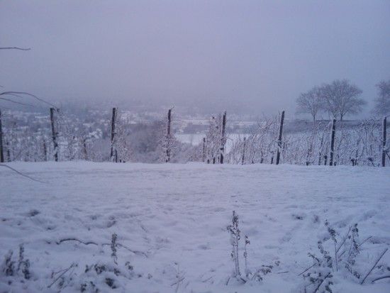 Winter Session 