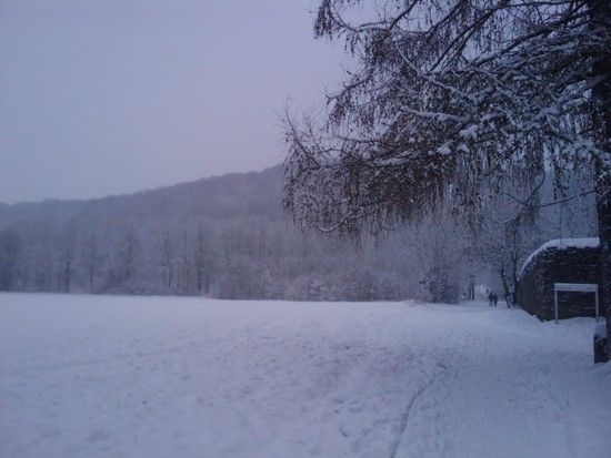 Winter Session 