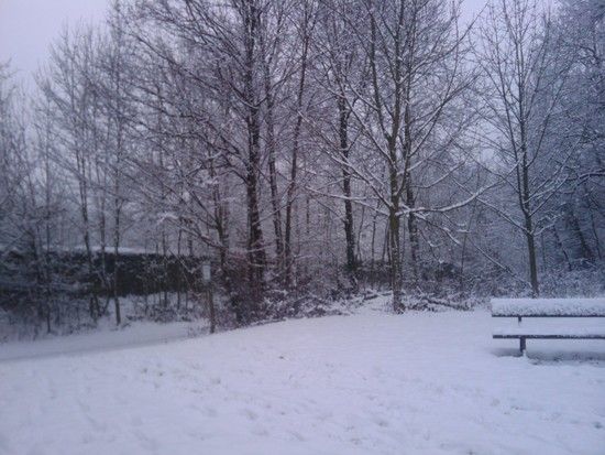 Winter Session 