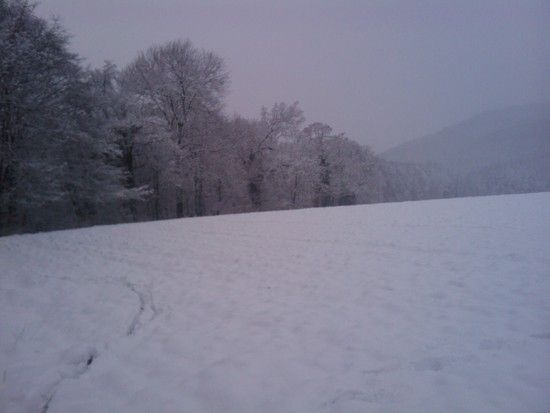 Winter Session 