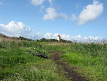 IMG 0801