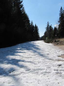 IMG 6500