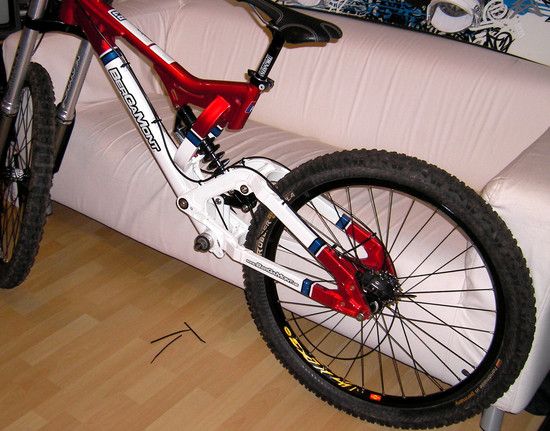SANY1564