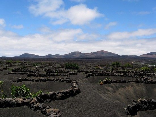 Lanzarote2010179