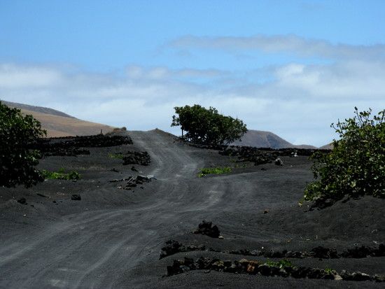 Lanzarote2010181
