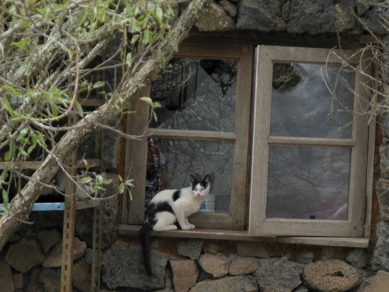Lanzarote2010389