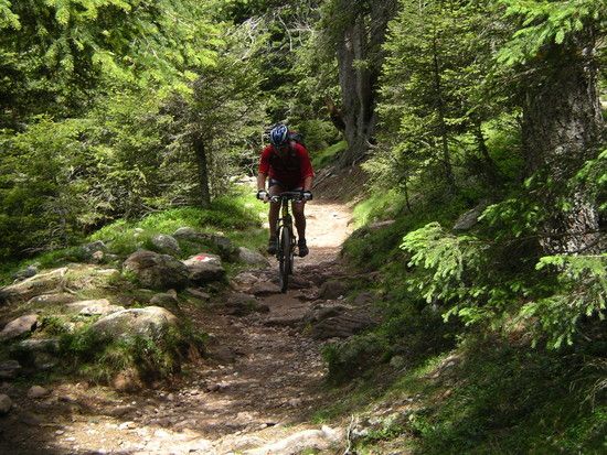 Trail in Südtirol