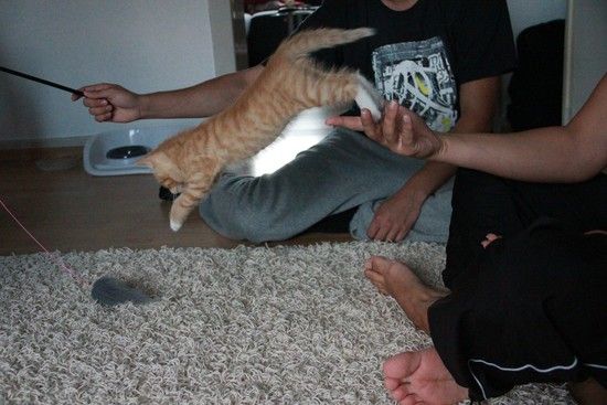 IMG 3636