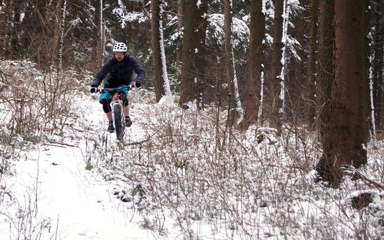 Thalheim Trail_1