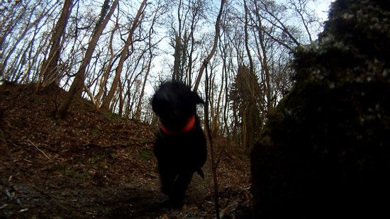 GOPR0322.MP4.Standbild001