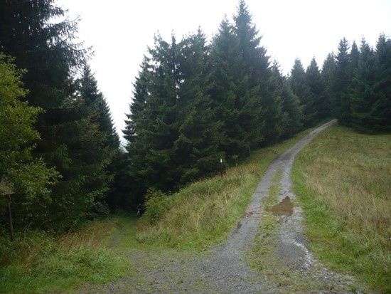 harz11
