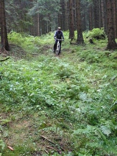 harz10