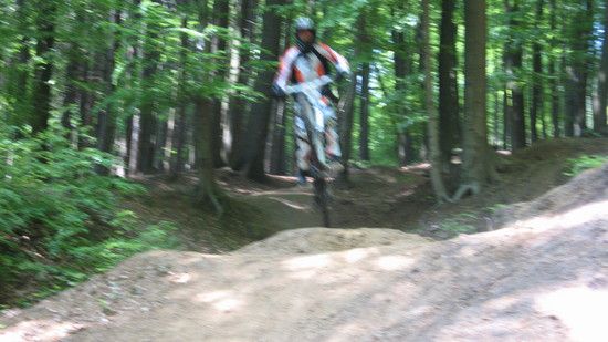 IMG 1477