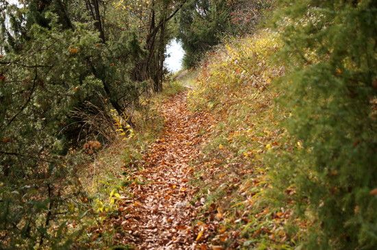 herbstlicher Trail