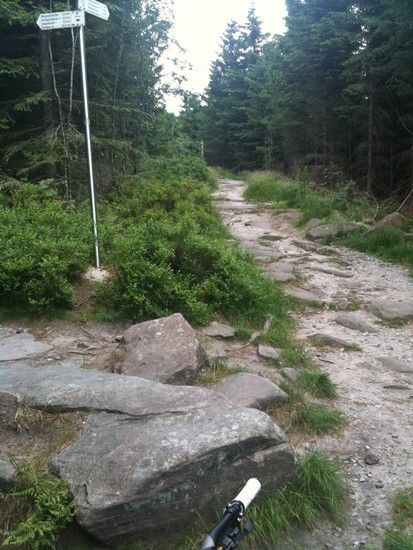 KreuzungHornisgrindetrail