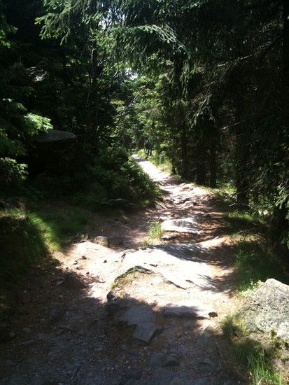 weitererVerlauf