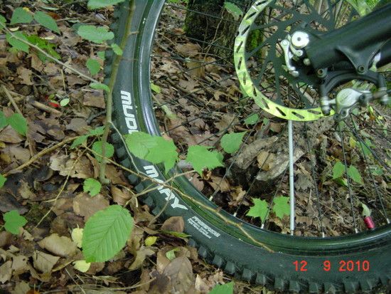 Natur trifft auf Technik