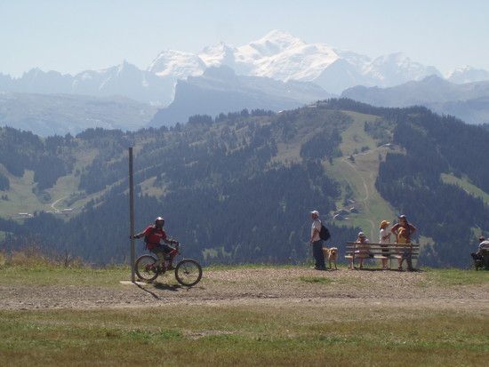 Bild060