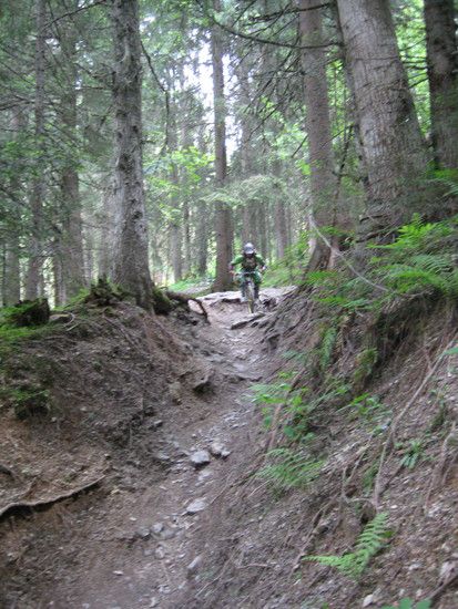 IMG 0578