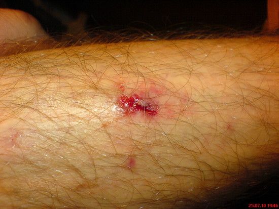 DSC00453